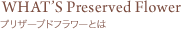 プリザーブドフラワー